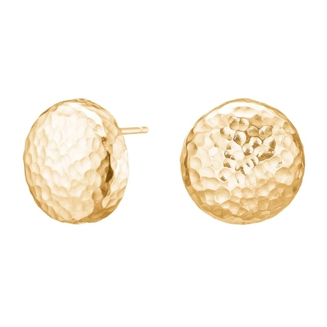 Heide Heinzendorff verguld zilveren oorstekers Ann gehamerd