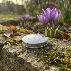 Ovaal zilveren doosje gegraveerd 3,5 x 2,7 cm