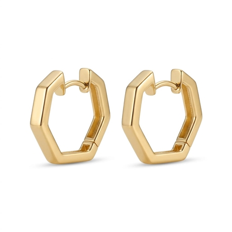 Verguld zilveren creolen zeskantig