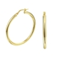SilGold oorringen ronde buis 2,5 mm