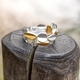 Bastian Inverun bicolor zilveren ring Glittertind