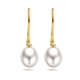 Geelgouden oorhangers met een zoetwaterparel