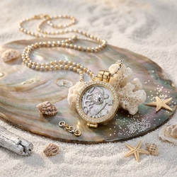 Verguld collier met medaillon en schildpad insignia 24 mm