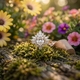 14 krt gouden ring zirkonia verschillende slijpwijzen