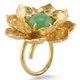 Lotusbloem Bruno da Rocha