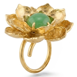 Lotusbloem Bruno da Rocha