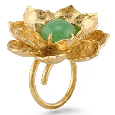 Lotusbloem Bruno da Rocha