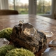 Zilveren hanger met lodoliet tuintje of garden kwarts