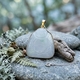 18krt gouden hanger jade met lachende boeddha