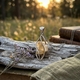 Zilveren hanger met geel granaatkristal nethanger Starborn Creations