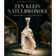 Zilveren hanger met agaatgeode