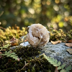 Starborn zilveren ring schelp gefossilisserd