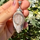 Starborn Creations zilveren hanger schelp fossiel met wit topaas