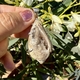 Starborn zilveren hanger gefossiliseerde schelp