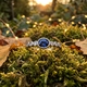 Wigouden ring met saffier en briljanten