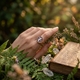 Gematteerd roséverguld zilver ring Camee Tinkerbel Diluca