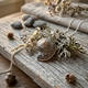 Zilveren hanger met ammoniet spiraalschelp