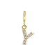 Amulett 9k slotbedel met zirkonia letter Y