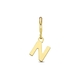 Amulett 9k slotbedel letter N