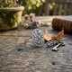 Timeless Classics by Gl zilveren ring  15640G