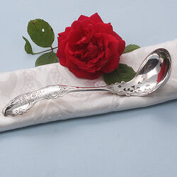 Zilveren natfruitschep