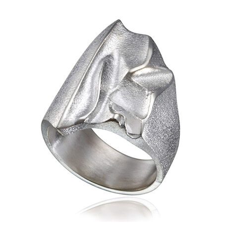 Zilveren ring Kauris van lapponia