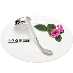 Suikerstrooilepel zilver model enkelfilet