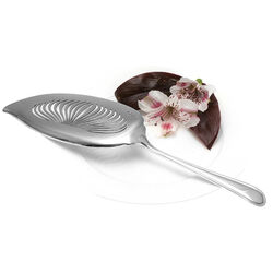 Zilver visdienschep model Prinses 251