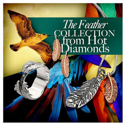 Hot Diamonds oorbellen rosé plated met veer