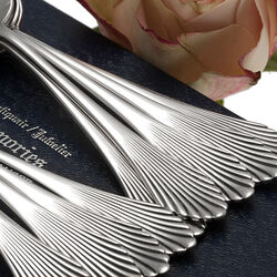 Set van 10 zilver theelepeltjes model Waaier