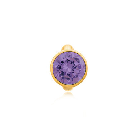 Endless charm Round Amethyst Dome Gold