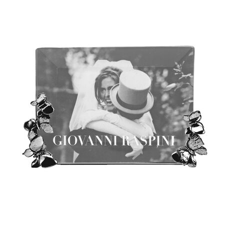 Zilver fotolijstje met vlinders raspini 