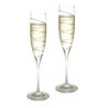 Champagne glazen Spiral van Carrs