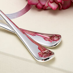 Verzilverde paplepel model glad van Greggio