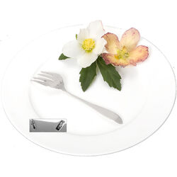 Zilveren sardinevorkje model puntfilet