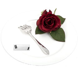 Zilver sardinevork model dubbelpuntfilet