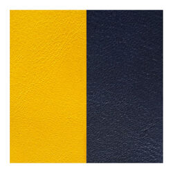Les Georgettes leertje geel blauw 40 mm