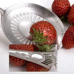 Zilver natfruitschep luxe parelrand matte bak