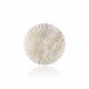 MY iMenso 24 mm pearl white laser sun