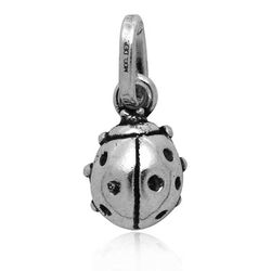 Raspini Bedel Lieveheersbeestje