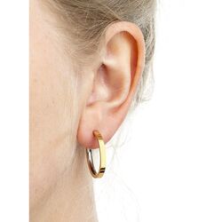 Boccia Titanium vergulde creolen 0517-01