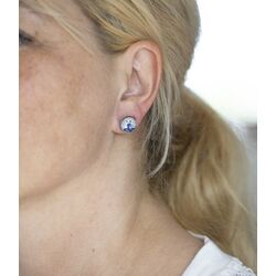 Delfs blauw met zilveren oorbellen molen