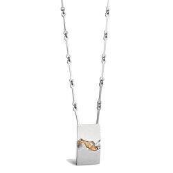 Zilveren Chasm necklace met goud Lapponia Bjorn Weckstrom bij Zilver.nl