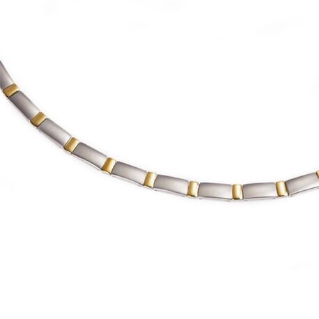 Bicolor strak titanium collier stijlvolle moderne vrouw Zilver.nl