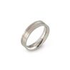 Boccia Titanium ring recht lijn 0149-01