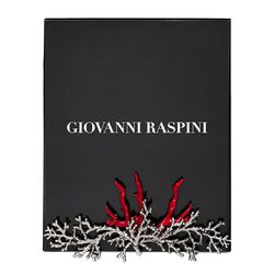 Giovanni Raspini fotolijst bronzobianco koraal