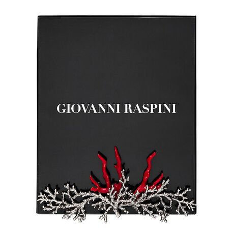 Giovanni Raspini fotolijst koraal b0661