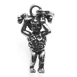 Raspini sterrenbeeld Ram