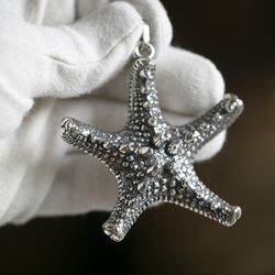 Zilveren hanger zeester Raspini