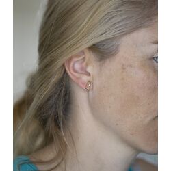 Geelgouden paperclip oorstekers zirkonia